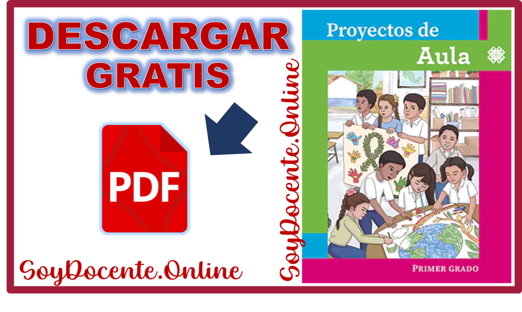 Un Libro Proyectos De Aula Para La Maestra Y El Maestro Proyectos De