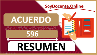 Acuerdo 596