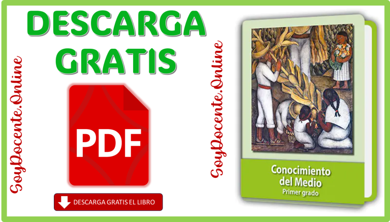 Libro de Conocimiento del Medio Primer Grado de Primaria por la SEP y ...