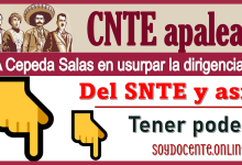 CNTE apalea a Cepeda Salas en usurpar la dirigencia del SNTE y así tener poder 