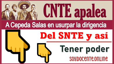 CNTE apalea a Cepeda Salas en usurpar la dirigencia del SNTE y así tener poder 
