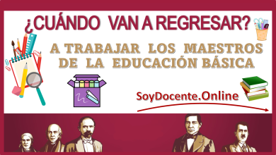 ¿CUÁNDO VAN A REGRESAR A TRABAJAR LOS MAESTROS DE LA EDUCACIÓN BÁSICA?