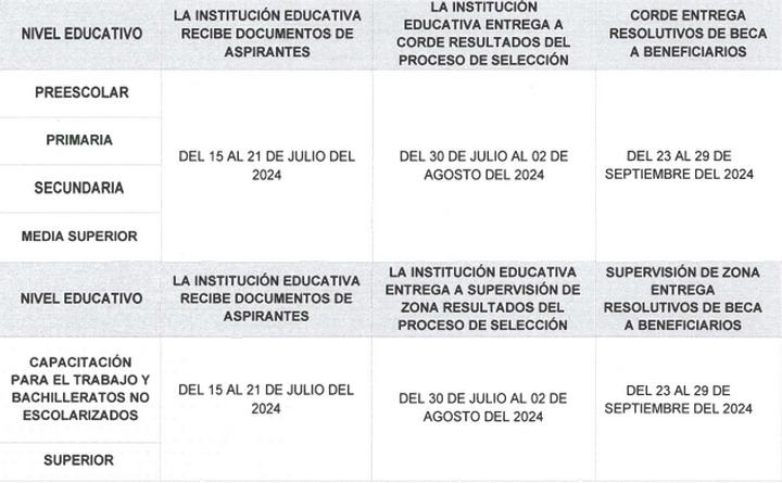 SEP prepara becas para escuelas particulares de todos los niveles