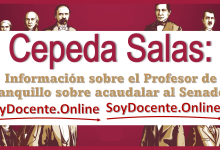 Cepeda Salas: información sobre el profesor de banquillo sobre acaudalar al Senador 