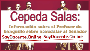 Cepeda Salas: información sobre el profesor de banquillo sobre acaudalar al Senador 