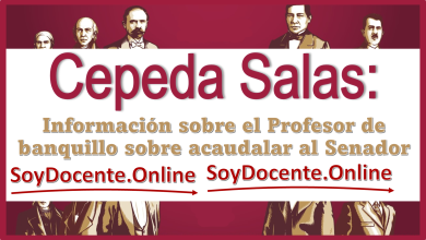 Cepeda Salas: información sobre el profesor de banquillo sobre acaudalar al Senador 