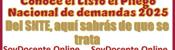 Conoce el Listo el Pliego Nacional de demandas 2025 del SNTE...Aquí sabrás de que se trata 