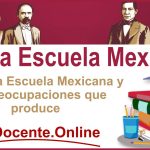 La Nueva Escuela Mexicana y las preocupaciones que produce