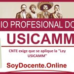 CNTE exige que se aplique la “Ley USICAMM”