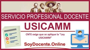 CNTE exige que se aplique la "Ley USICAMM"
