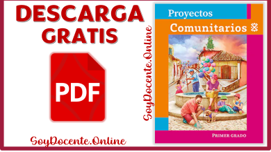 Descarga el Libro de Proyectos Comunitarios Primer Grado de Primaria Formato de PDF Gratis
