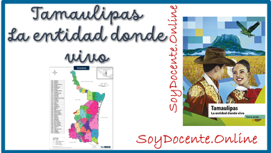 Descarga el Libro de Tamaulipas La entidad donde vivo tercer grado de Primaria, por la SEP, distribuido por CONALITEG. En PDF