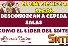 EL CNTE EXIGE A SEGOB QUE DESCONOZCA A CEPEDA SALAS COMO EL LÍDER DEL SNTE 