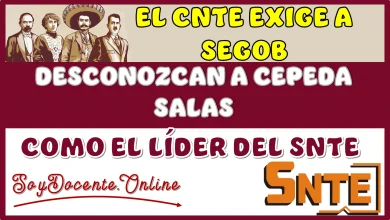 EL CNTE EXIGE A SEGOB QUE DESCONOZCA A CEPEDA SALAS COMO EL LÍDER DEL SNTE 