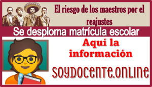 El riesgo de los maestros por el reajustes se desploma matrícula escolar...Aquí la información 