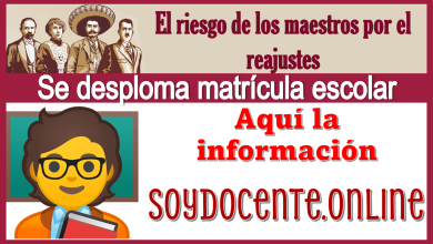 El riesgo de los maestros por el reajustes se desploma matrícula escolar...Aquí la información 