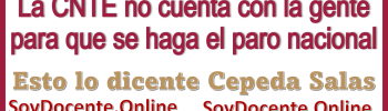 La CNTE no cuenta con la gente para que se haga el paro nacional---Esto lo dice Cepeda Salas 