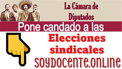 ▷ La Cámara de Diputados pone candado a las elecciones sindicales » 2026 Soy Docente Online 🥇 La Cámara de Diputados pone candado a las elecciones sindicales