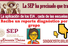 La SEP ha precisado que tras la aplicación de los EIA, cada de las escuelas recibe un reporte diagnóstico por grupo