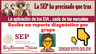 La SEP ha precisado que tras la aplicación de los EIA, cada de las escuelas recibe un reporte diagnóstico por grupo