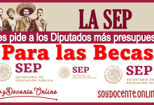 La SEP les pide a los Diputados más presupuestos para las Becas 