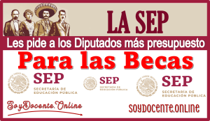 La SEP les pide a los Diputados más presupuestos para las Becas 