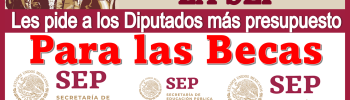 La SEP les pide a los Diputados más presupuestos para las Becas 