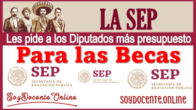 La SEP les pide a los Diputados más presupuestos para las Becas 