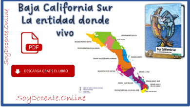 Libro de Baja California Sur La entidad donde vivo tercer grado de Primaria por la SEP distribuido por la CONALITEG Descarga en PDF gratis
