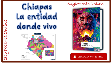 Libro de Chiapas La entidad donde vivo tercer grado de Primaria, obra de la SEP, distribuido por la CONALITEG. Descarga en PDF