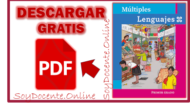 Libro de Múltiples Lenguajes de Primer Grado de Primaria por la SEP en Distribución con CONALITEG Descargar en PDF