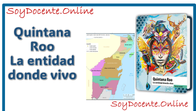 Libro de Quintana Roo La entidad donde vivo tercer grado de Primaria, elaborado por la SEP, distribuido por la CONALITEG. Descarga en PDF.
