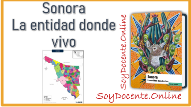 Libro de Sonora La entidad donde vivo tercer grado de Primaria, por la SEP, distribuido por la CONALITEG.