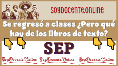 Se regresó a clases...¿Pero qué hay de los libros de texto? | SEP 