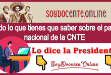 Todos lo que tienes que saber sobre el paro nacional de la CNTE...Lo dice la Presidenta 