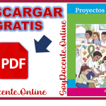 Un libro Proyectos de Aula para la Maestra y el Maestro Proyectos de Aula Primer grado de primaria en PDF en descarga a través de CONALITEG