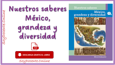 Ya puedes descargar el Libro de Nuestros saberes México, Grandeza y diversidad cuarto grado de Primaria, obra de la SEP, distribuido por la CONALITEG.