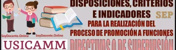 ✍👩🏻‍🏫👨🏻‍🏫📝 ACUERDO QUE CONTIENE LAS DISPOSICIONES, CRITERIOS E INDICADORES PARA LA REALIZACIÓN DEL PROCESO DE PROMOCIÓN A FUNCIONES DIRECTIVAS O DE SUPERVISIÓN EN EDUCACIÓN BÁSICA EN EL CICLO ESCOLAR 2024-2025 | USICAMM Y SEP ✍👩🏻‍🏫👨🏻‍🏫📝