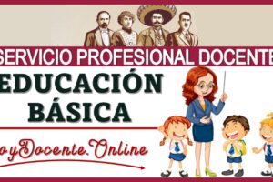 Servicio Docente Profesional Educación Básica 2022-2023