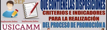 📢🚨👩🏻‍🏫👨🏻‍🏫 La USICAMM emite el acuerdo | que contiene las disposiciones, criterios e indicadores para la realización del proceso de promoción a horas adicionales en educación básica | Promoción a horas adicionales en Educación Básica para el ciclo escolar 2024-2025 📢🚨👩🏻‍🏫👨🏻‍🏫