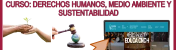 🌳🙌💥 EDUCA CNDH | Curso | Derechos Humanos, Medio Ambiente y Sustentabilidad 🌳💥